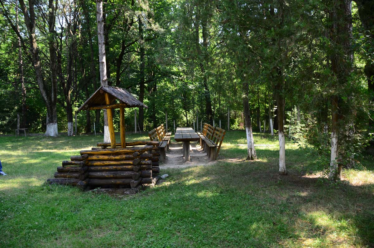 Pădurea Lapiş, oază de verdeaţă  unde cerbii lopătari sburdă în voie