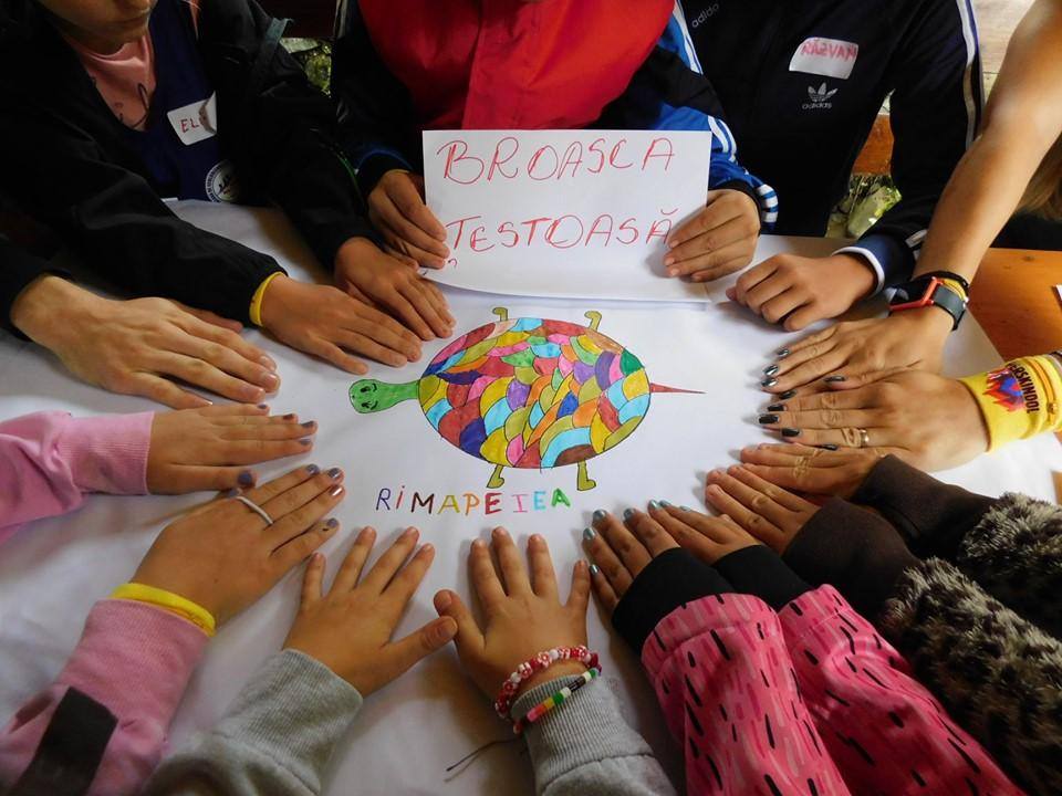 Tabără de ecologizare și dezvoltare personală