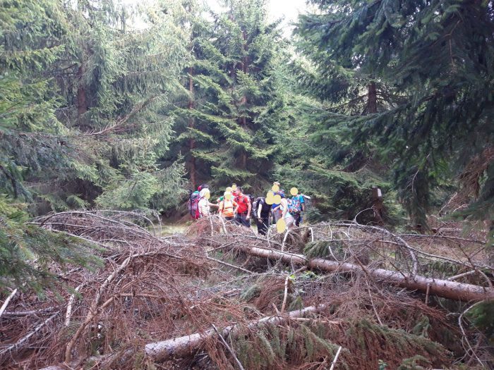 Salvamontiștii sătmăreni au salvat, în acest weekend, 11 clujeni rătăciți la granița dintre județele Satu Mare și Maramureș