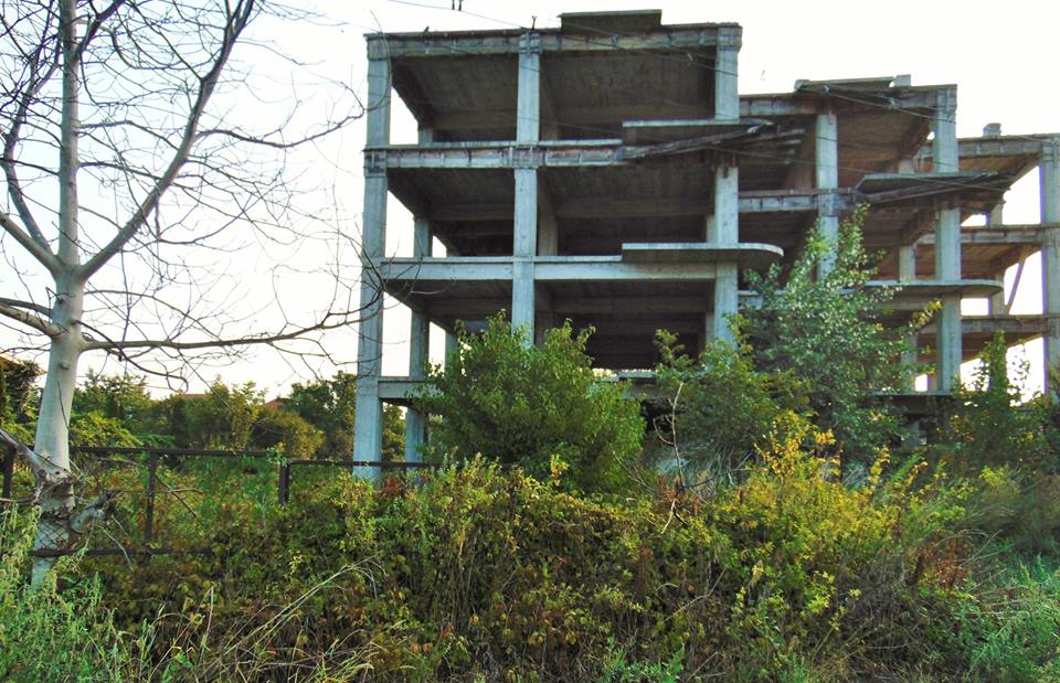 FOTO. Primăria şi Poliţia Locală, în plin RĂZBOI cu cei ce nu DISTRUG ambrozia. AMENZI consistente