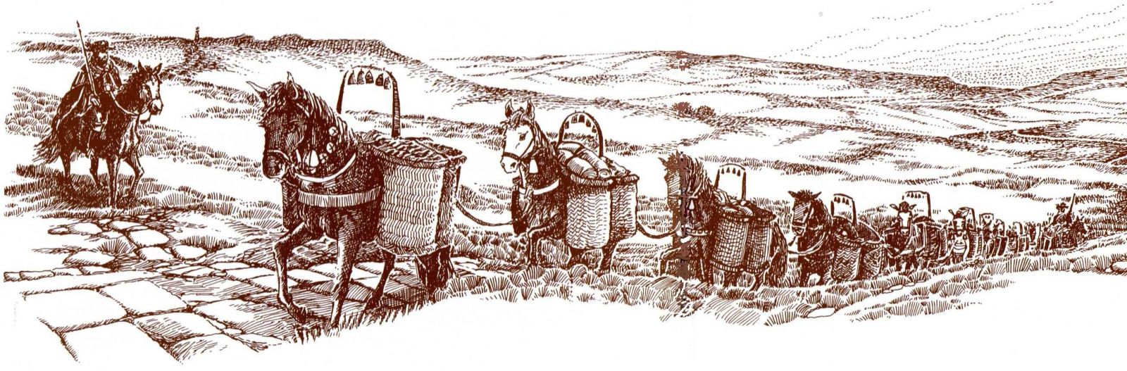 Care erau principalele îndeletniciri, aducătoare de bunăstare, ale sătmărenilor în Evul Mediu