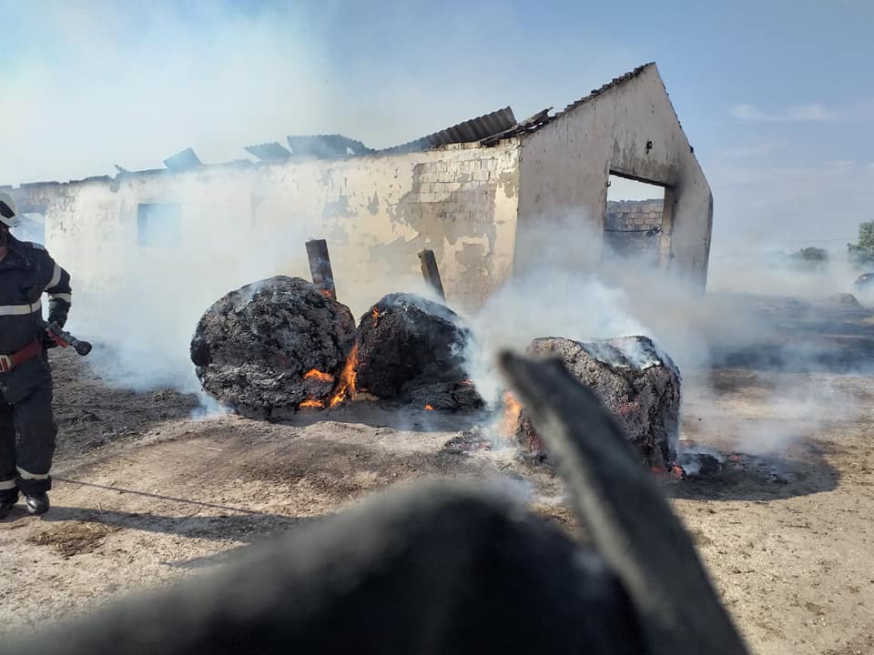 FOTOGALERIE. Incendiu DEVASTATOR în județ. Peste 150 de animale, ARSE de VII