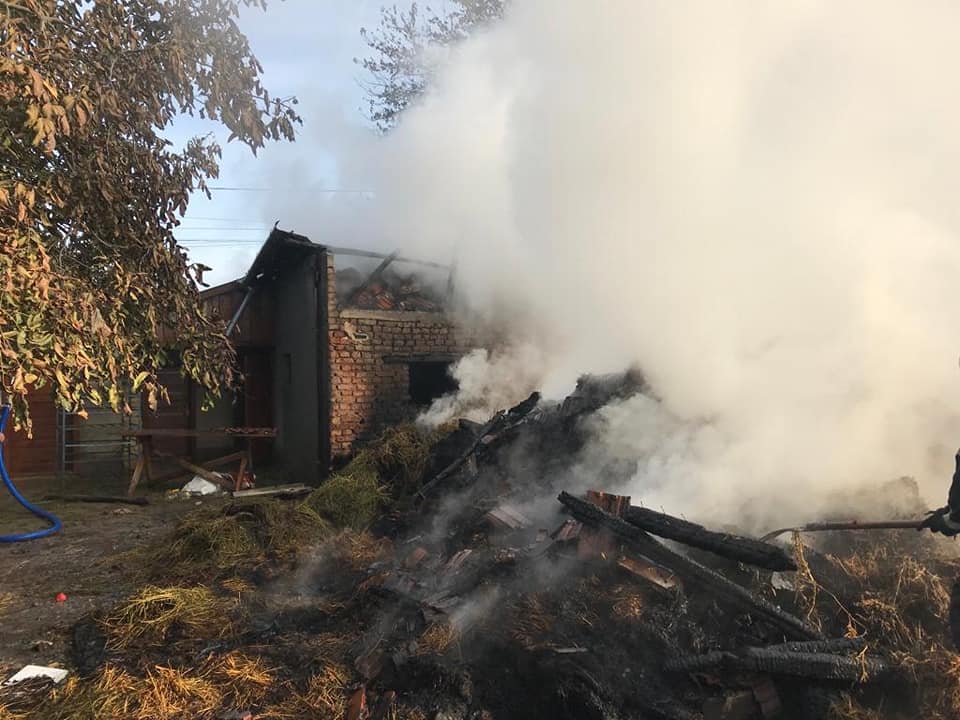 FOTO. Incendiu la o anexă gospodărească