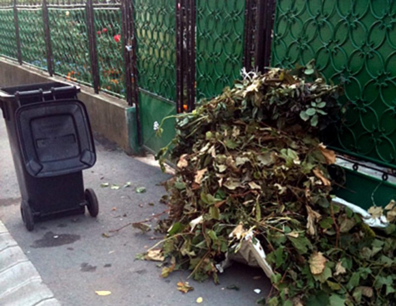 Programul de colectare a deșeurilor vegetale, la Carei