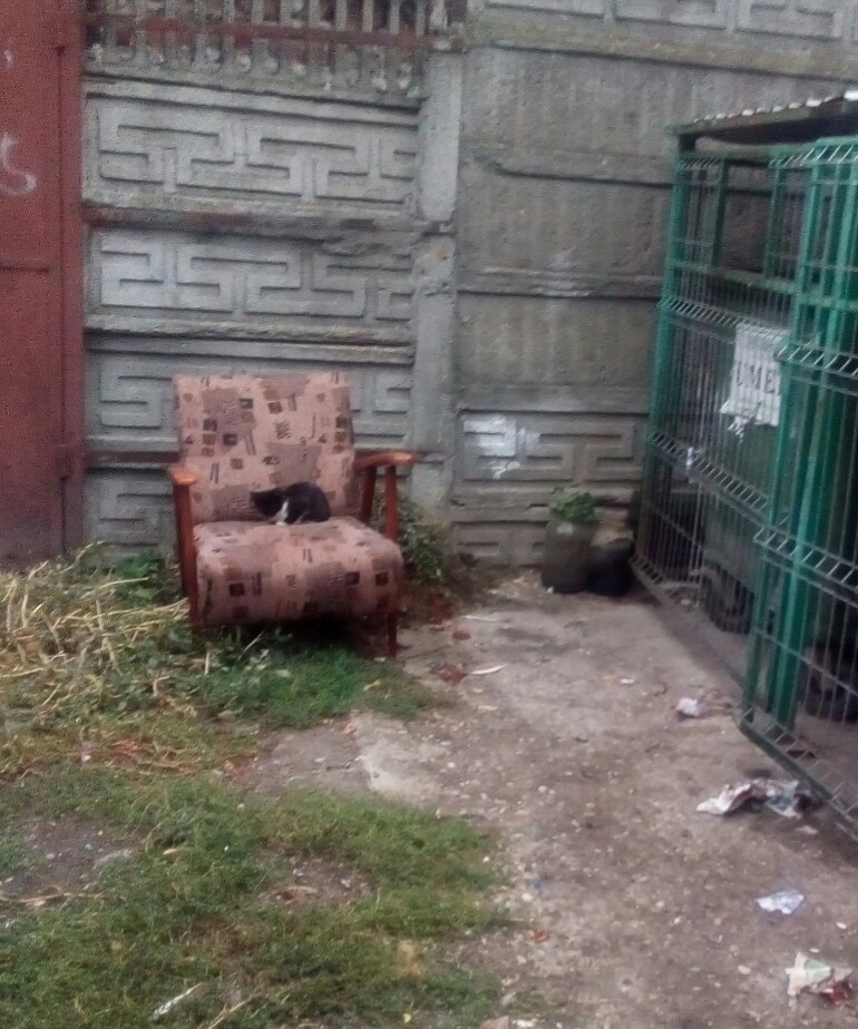 Jilțu de la pubelă..