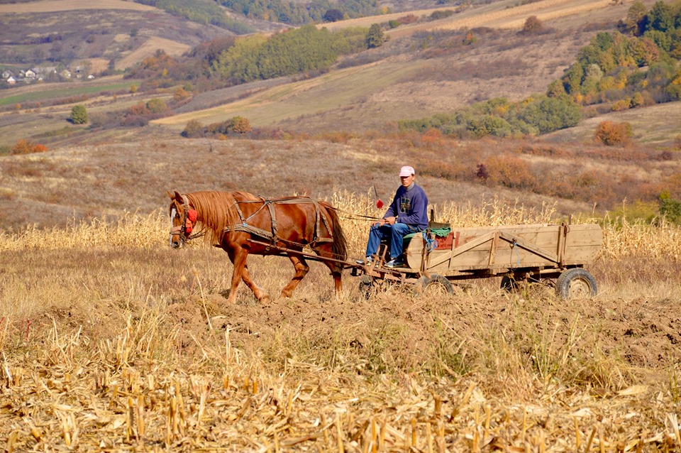 FOTOGALERIE. Drum IMPRACTICABIL, transformat în șosea. Într-o zonă TURISTICĂ din județ