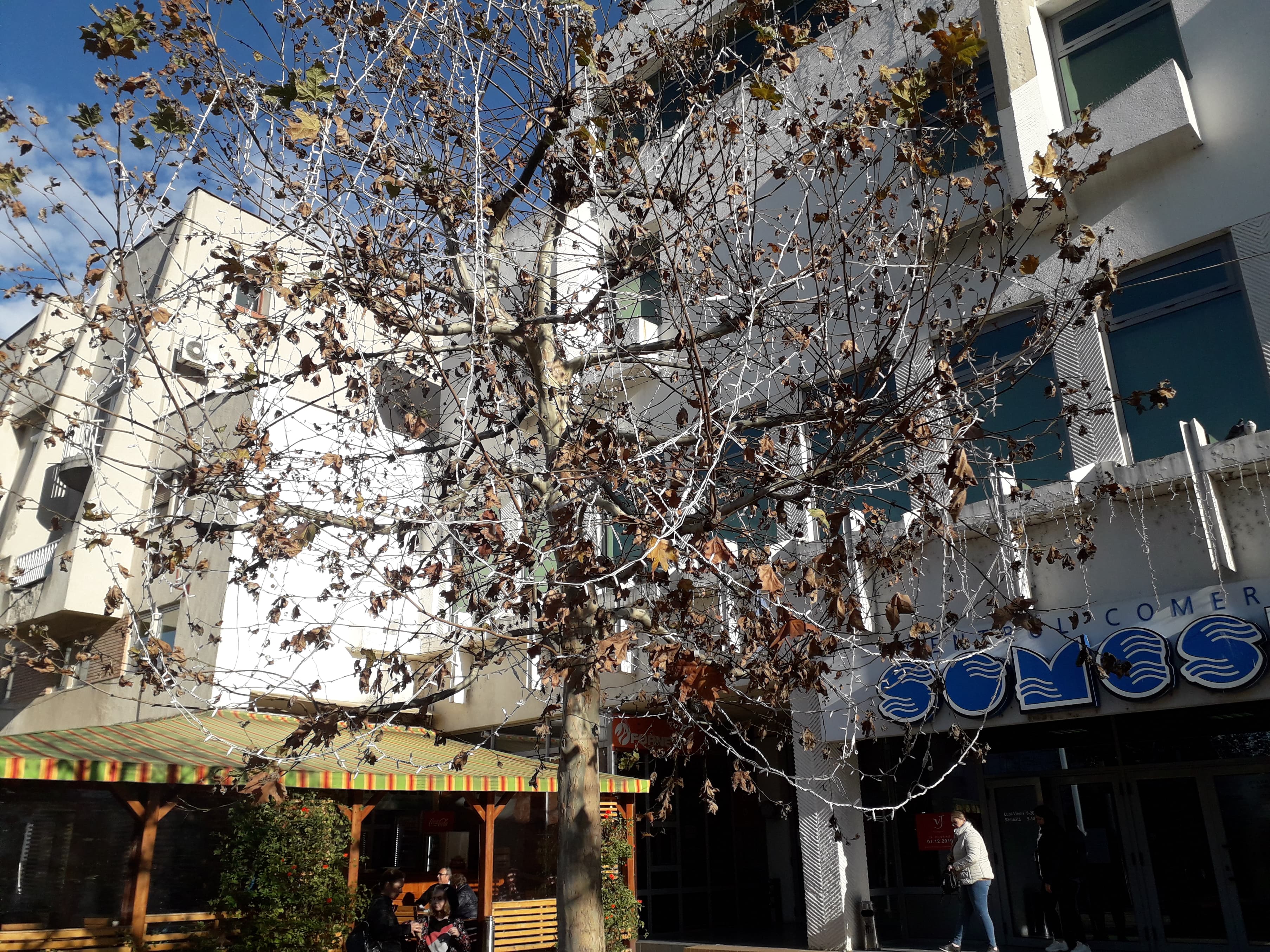 Satu Mare este gata pentru aprinderea luminițelor de Crăciun