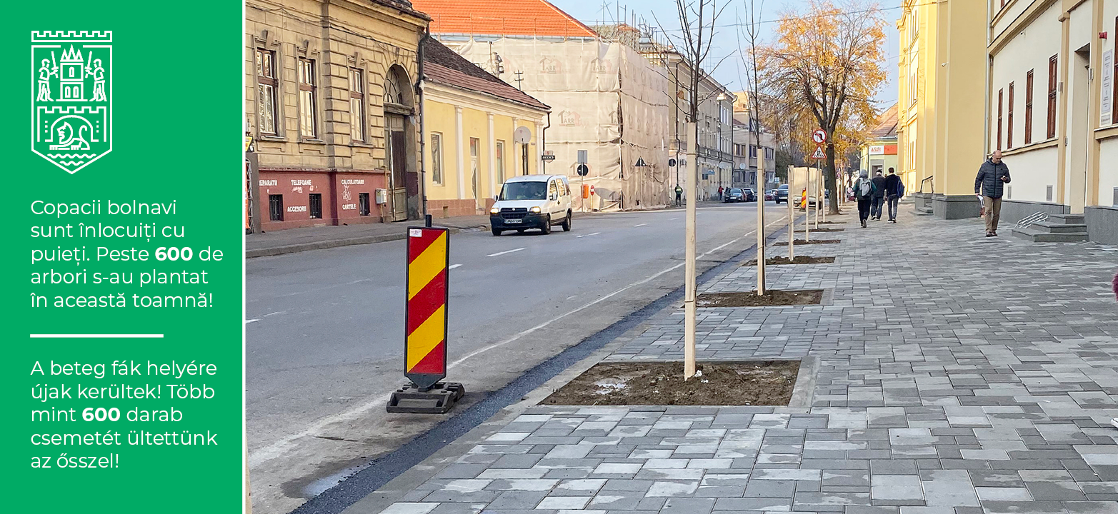FOTOGALERIE. SUTE arbori PLANTAȚI pe străzile din Satu Mare. Inițiativă demnă de toată APRECIEREA