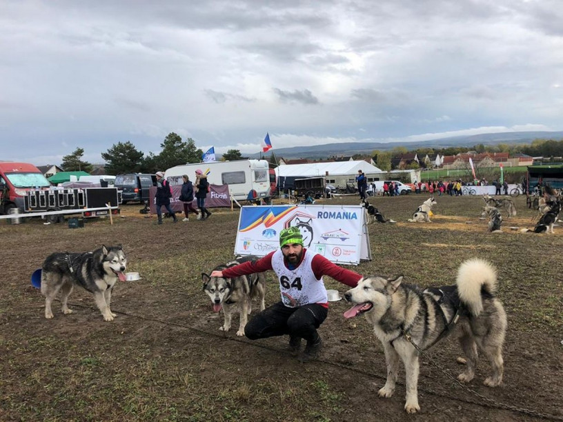 Careianul Daniel Tentiș, bronz la Campionatul European de atelaje trase de câini