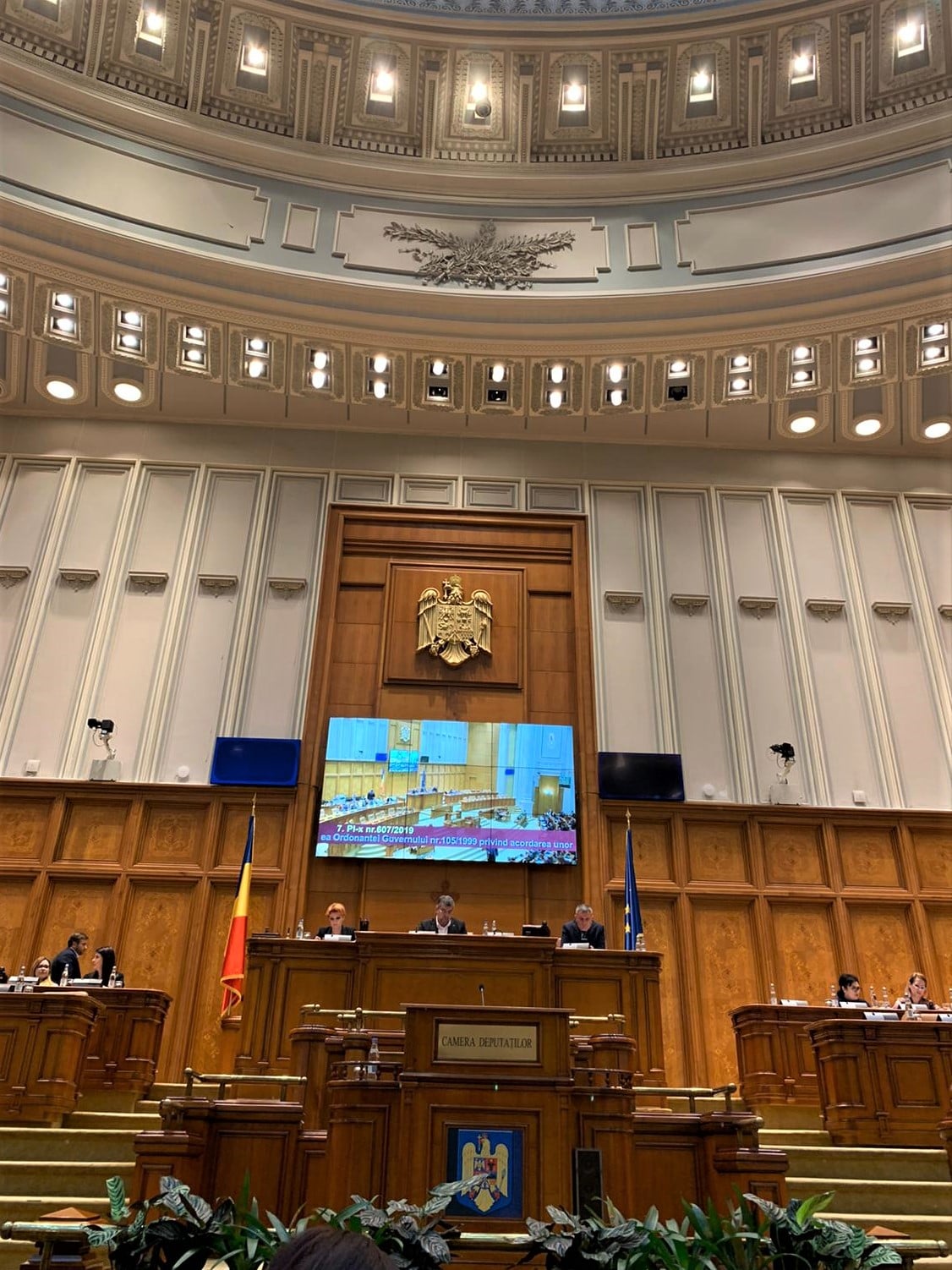 Deputatul Ioana Bran: "Vor primi o indemnizație lunară de 700 de lei". Despre ce e vorba