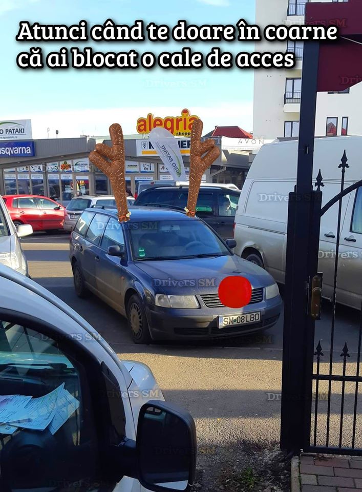 Dacă ai coarne de ren pe mașină... de ce parchezi ca un bou?