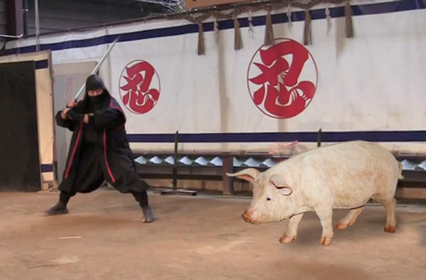 Ignatul pe glob. Tradiţii de tăierea porcului la alte popoare