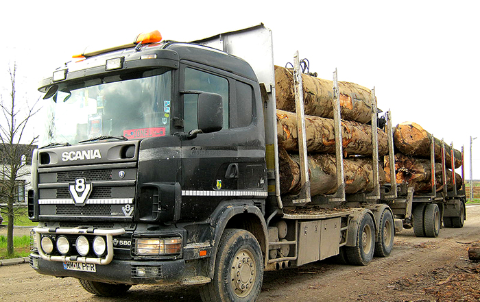 Au transportat lemn ilegal. Polițiștii i-au prins