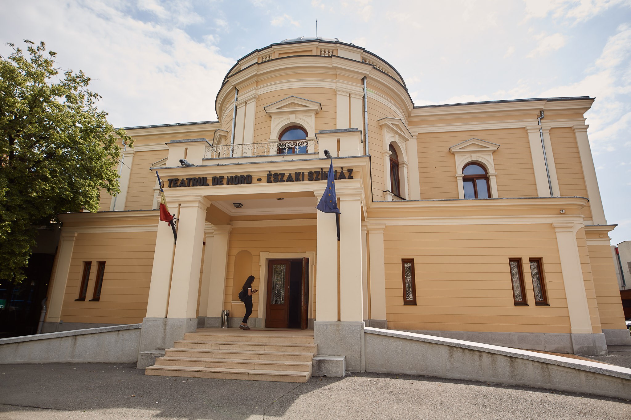 PROGRAMUL SPECTACOLELOR TEATRULUI DE NORD, TRUPA ”MIHAI RAICU” FEBRUARIE 2020