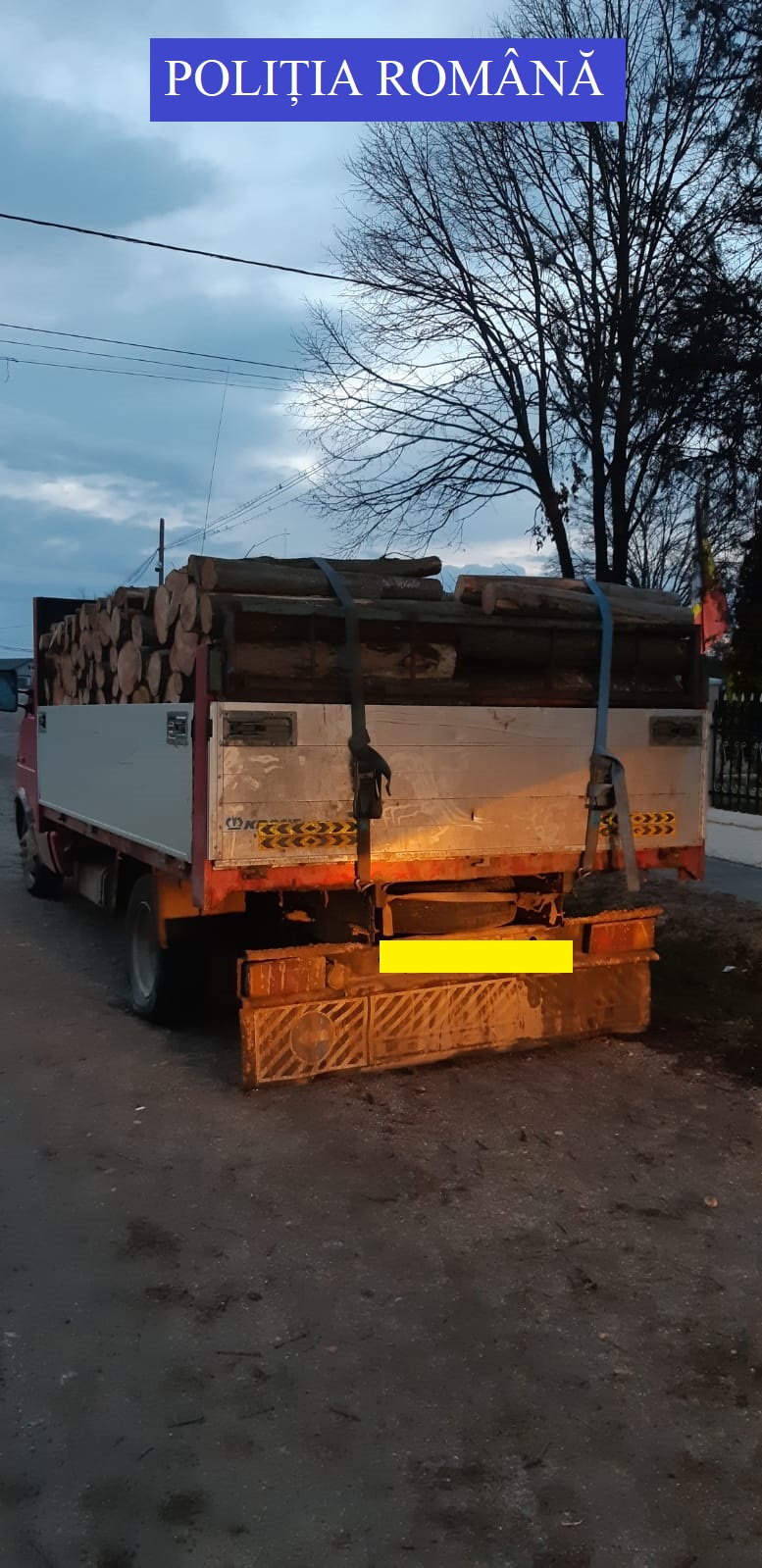 Bărbat de 41 de ani, prins în timp ce transporta lemn ilegal