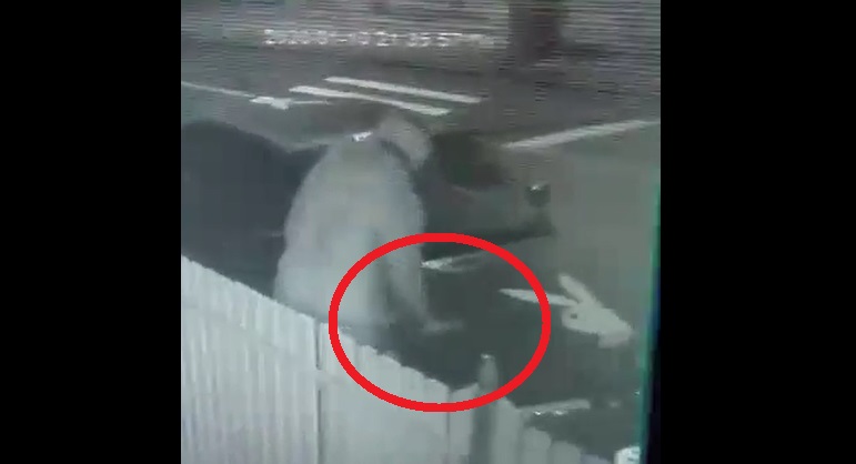 VIDEO/FOTO. CRUCI desenate pe mașini la Satu Mare. BLESTEME sau doar INTIMIDĂRI