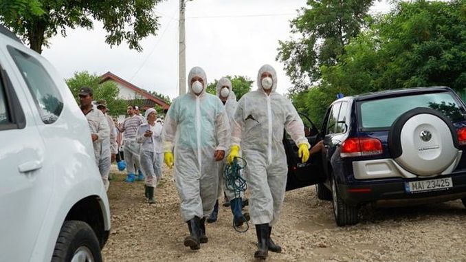 DSVSA intensifică controalele în județ după gripa porcină și gripa aviară descoperite în Maramureș