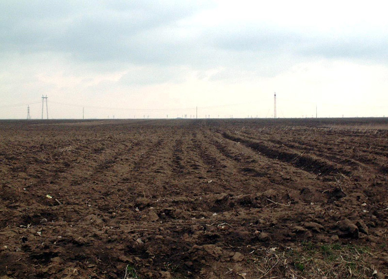 Iarna atipică din România ar putea duce la scumpirea alimentelor