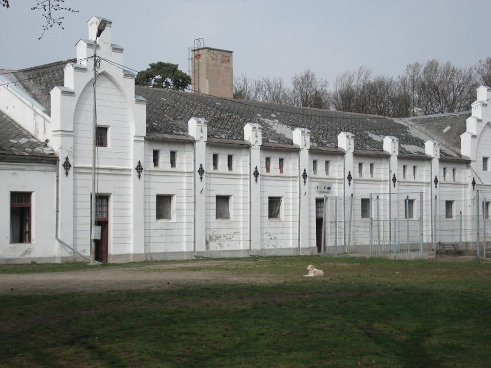 Noi proiecte sătmărene de succes publicate pe pagina Interreg Europe