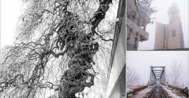 SUPER-FOTOGALERIE. FRUMUSEȚILE Sătmarului. ORAȘUL, acoperit de PROMOROCĂ