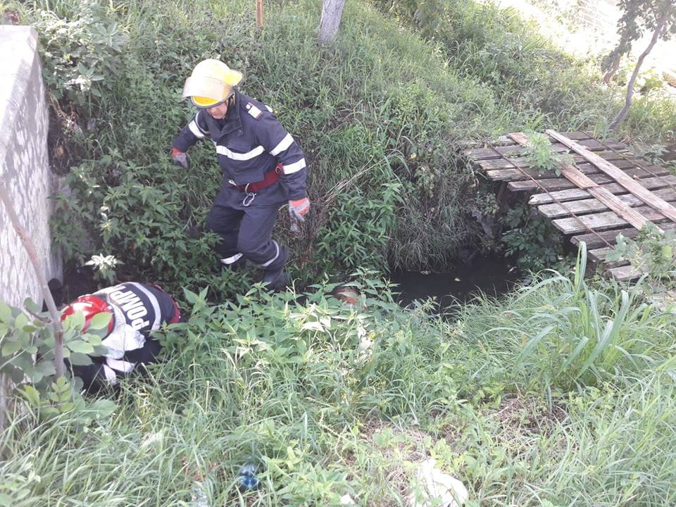 MACABRU. Un CADAVRU a fost descoperit într-un șanț. CRIMINALIȘTII au demarat o ANCHETĂ