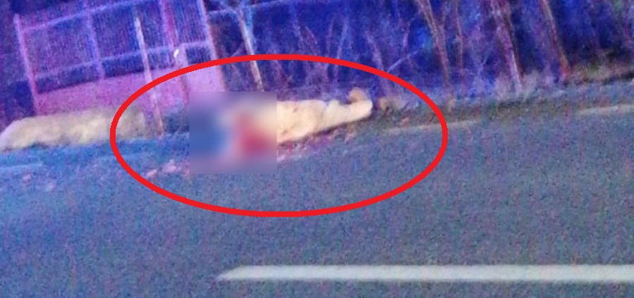 VIDEO/FOTO. TRAGEDIE. Scene de GROAZĂ. Bărbat DECAPITAT pe drumul spre Satu Mare