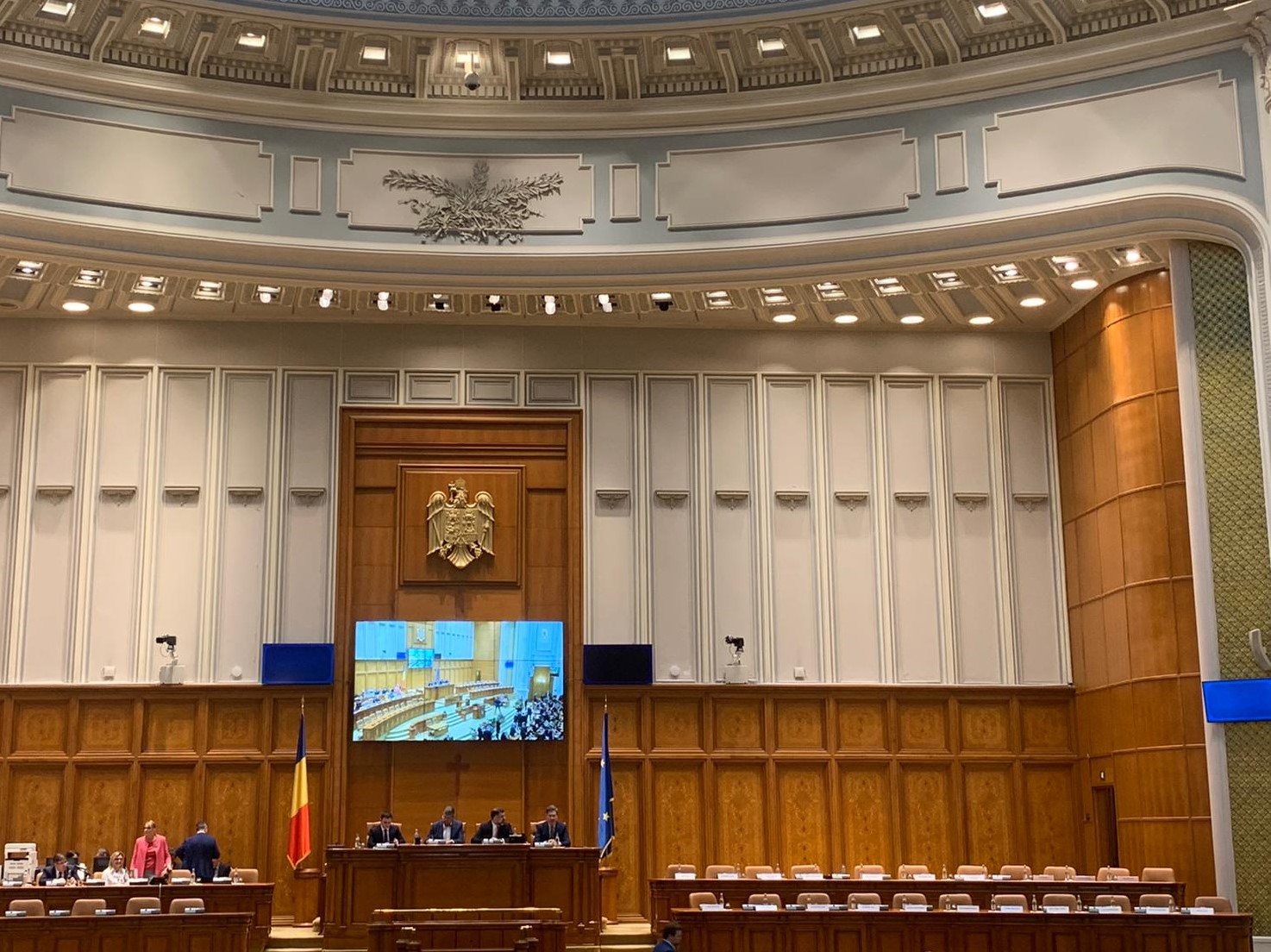 Deputatul Ioana Bran: "Nu este momentul jocurilor și răfuielilor politice."