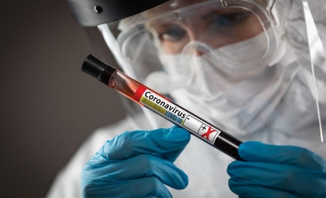 6 cazuri noi la Satu Mare