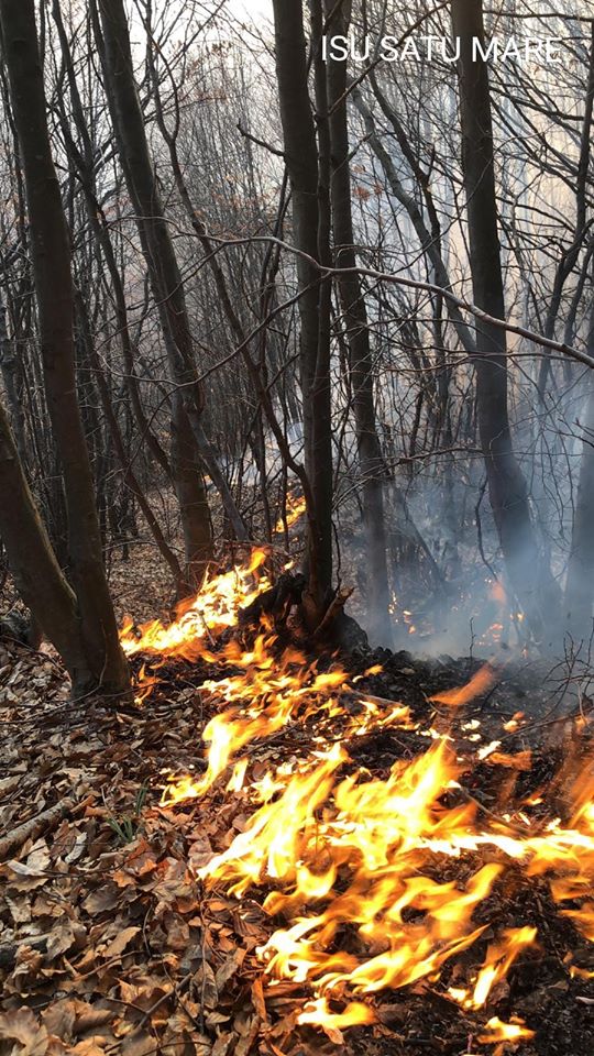 Recomandări: Incendii de miriști și vegetație uscată. Măsuri specifice