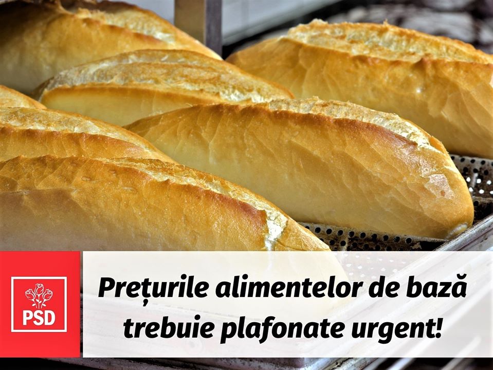 SOLCITARE. Ioana Bran: ”Prețurile alimentelor de bază, PLAFONATE URGENT!”