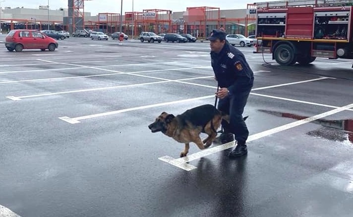 FOTOGALERIE. Câinele EROU. MEPA - Salvatorul zilei. A SALVAT trei victime prinse sub DĂRÂMĂTURI la Aushopping Satu Mare (exercițiu)