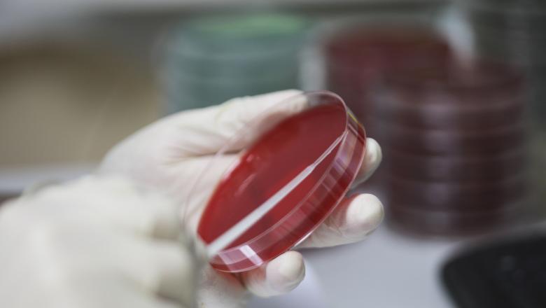 Două persoane au murit de coronavirus în România. 433 de persoane sunt infectate