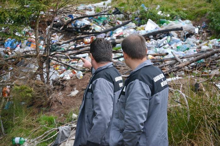 SANCȚIUNI. Amenzi COLOSALE aplicate de Garda de Mediu unor NESIMȚIȚI. Cum au fost PRINȘI