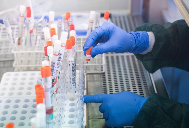 PREMIERĂ în județ. Testare COMUNITARĂ la Satu Mare