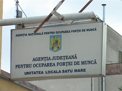 Finanțarea   stagiului pentru absolvenții de învățământ superior