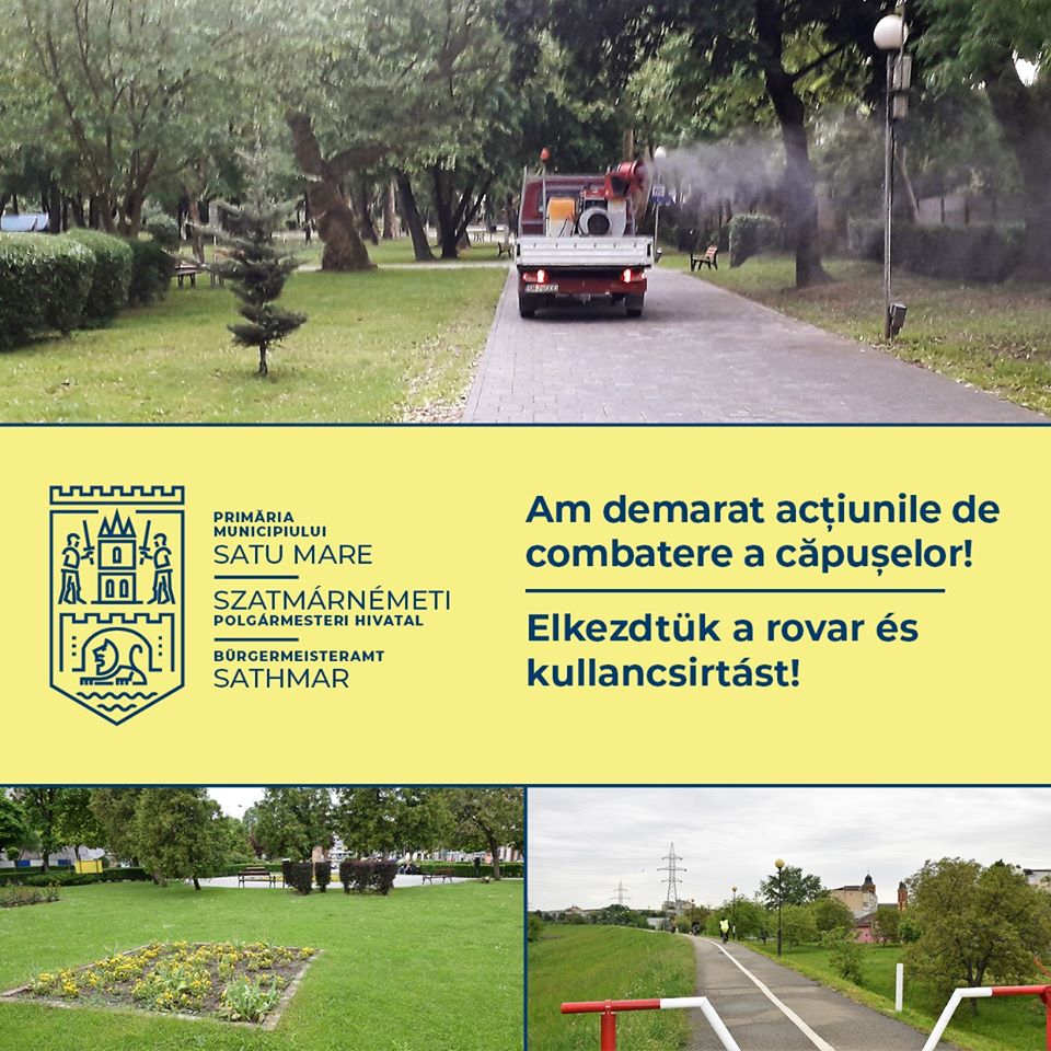 Primăria a demarat acțiunea de combatere a căpușelor!