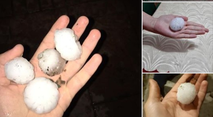 FOTOGALERIE. GRINDINA  de dimensiuni URIAȘE a făcut PRĂPĂD în țară. Culturile, DISTRUSE TOTAL