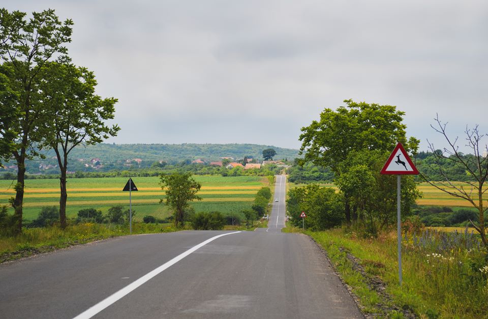 FOTOGALERIE. Un nou drum județean, REABILITAT. Despre ce drum e vorba