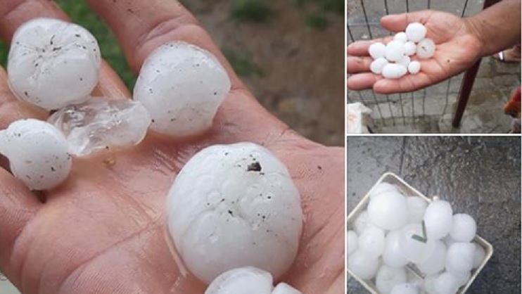 FOTOGALERIE. PRĂPĂD în JUDEȚ. Culturi DISTRUSE. PAGUBE însemnate