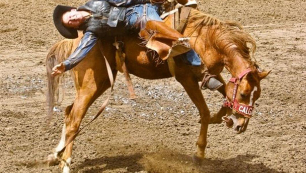 Când unii sar calu`...