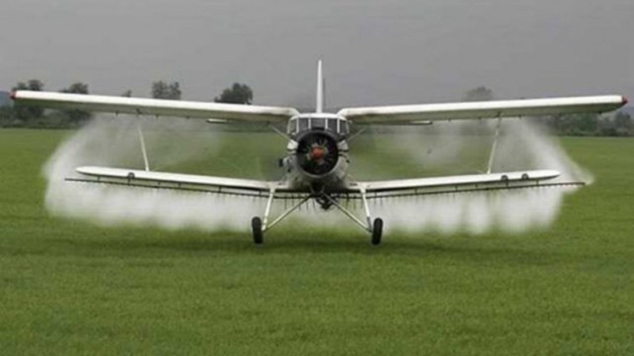 Primăria continuă războiul împotriva țânțarilor