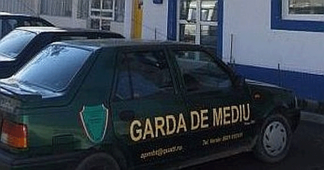 Amenzi de peste 700 de mii de lei aplicate de Garda de Mediu în județ