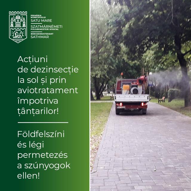 Încep acțiunile de dinzecție împotriva țânțarilor