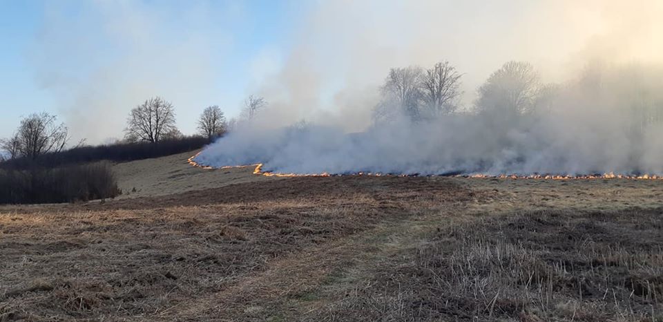Altă vară, alt an, aceleași obiceiuri tâmpite și periculoase!