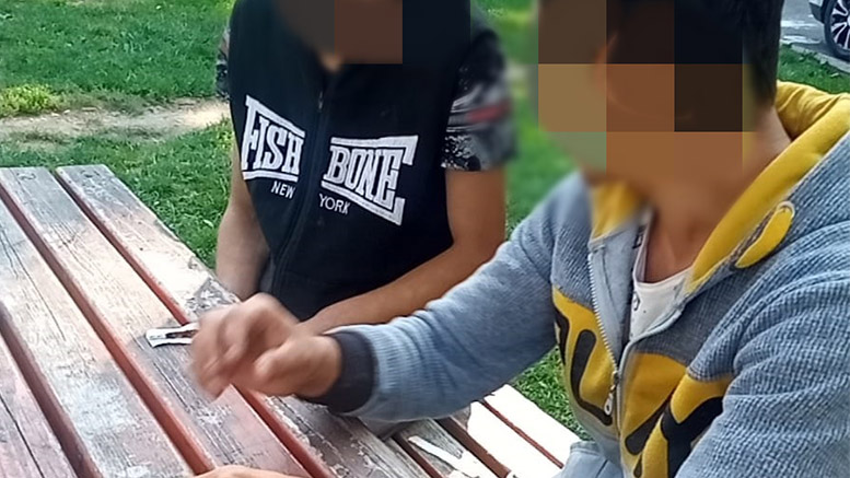 Cu jointu’  în plină zi