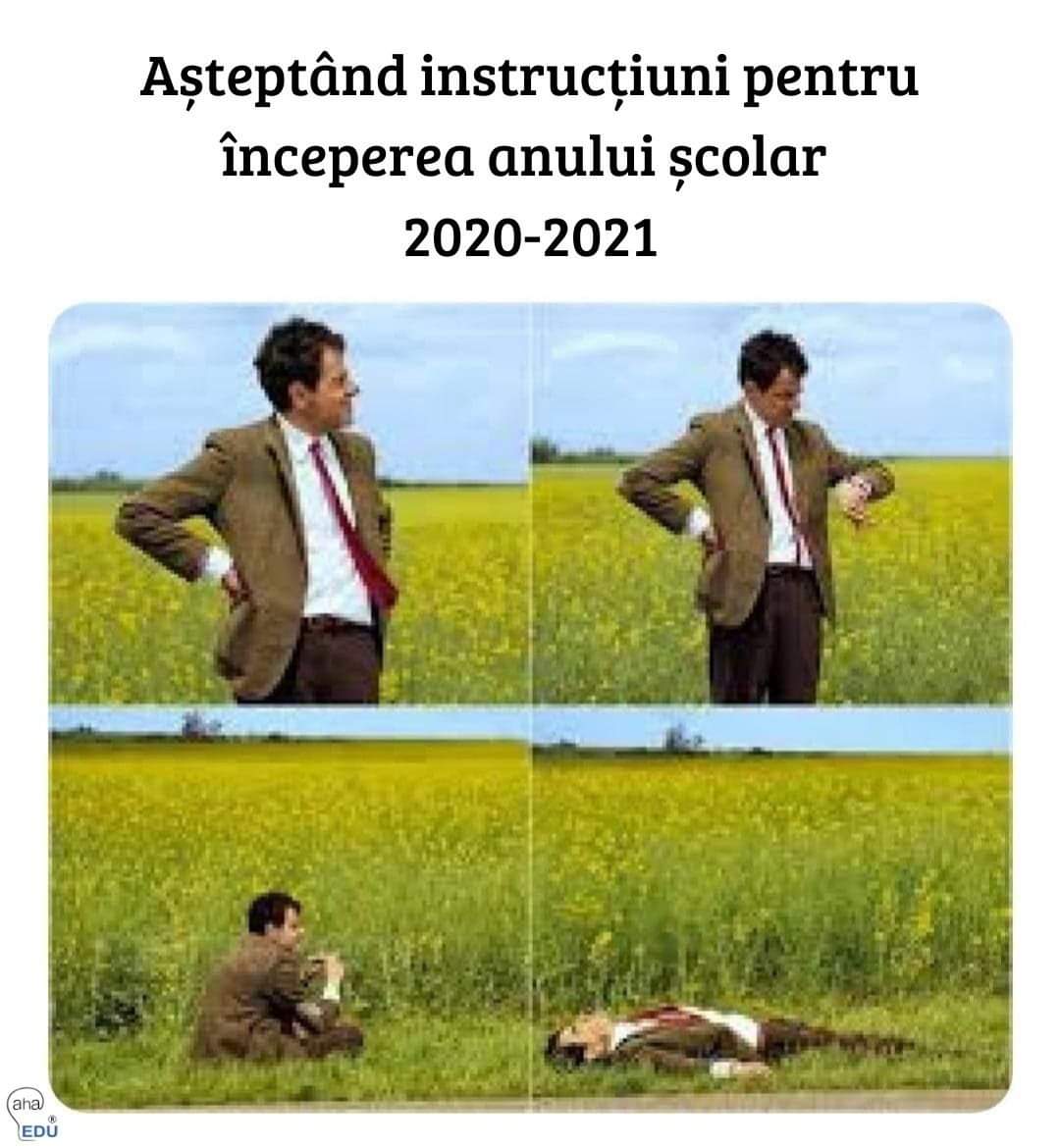 Ce mică-i vacanța mare...