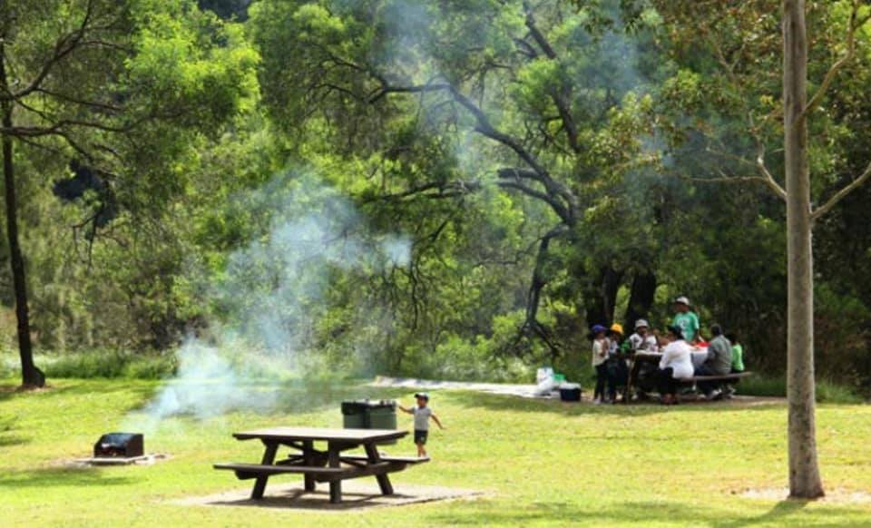 Primăria Homoroade va amenaja un loc  de picnic la marginea păşunii Solduba