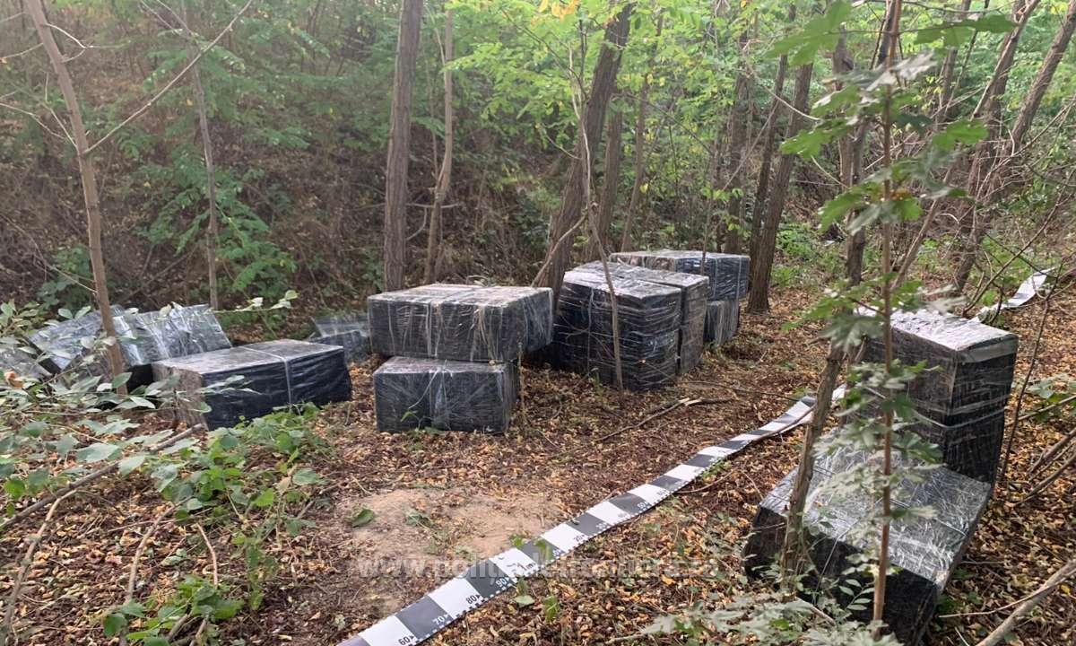 FOTOGALERIE. FORCURI  de ARMĂ la Satu Mare. URMĂRIRE prin PĂDURE