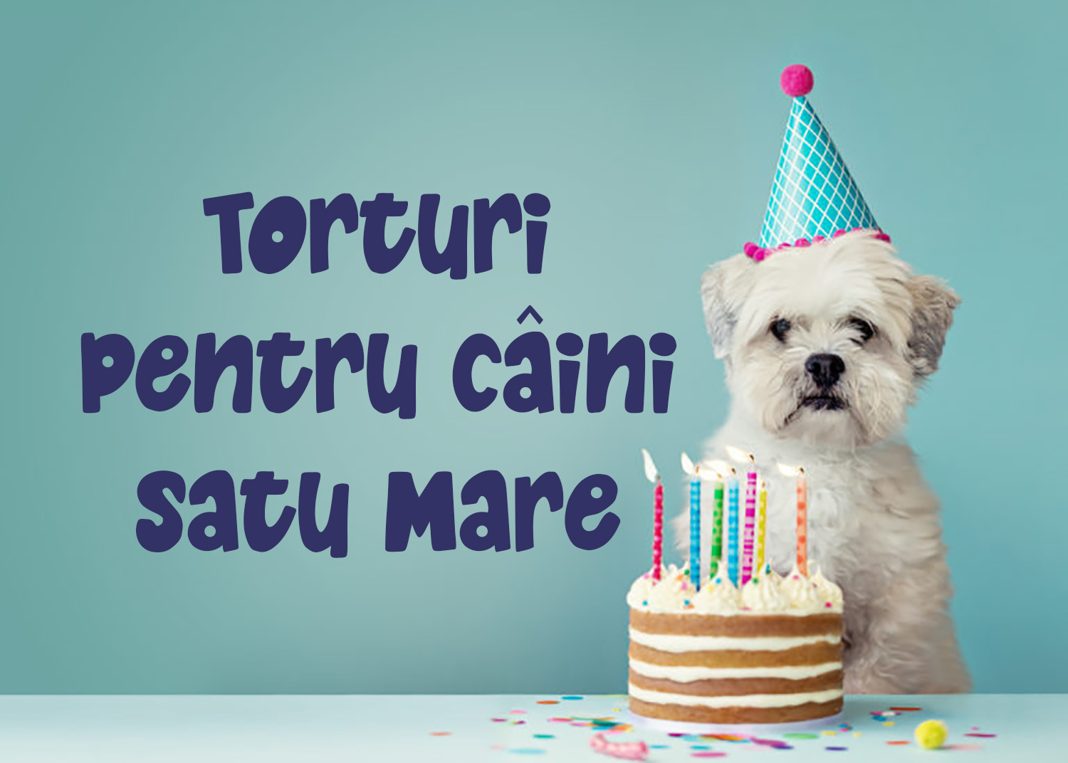 Torturi pentru zi de naștere, adopție, sau doar pentru răsfăț!