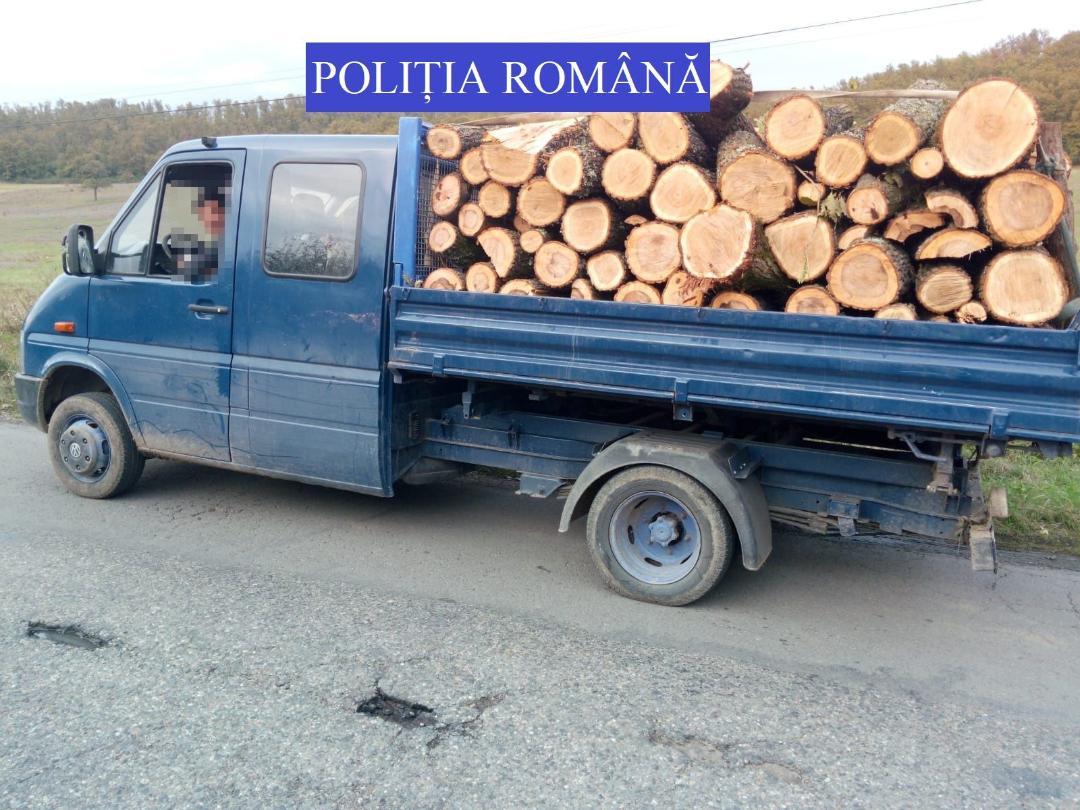 Hoț de lemne, prins în Țara Oașului. Cât lemn transporta